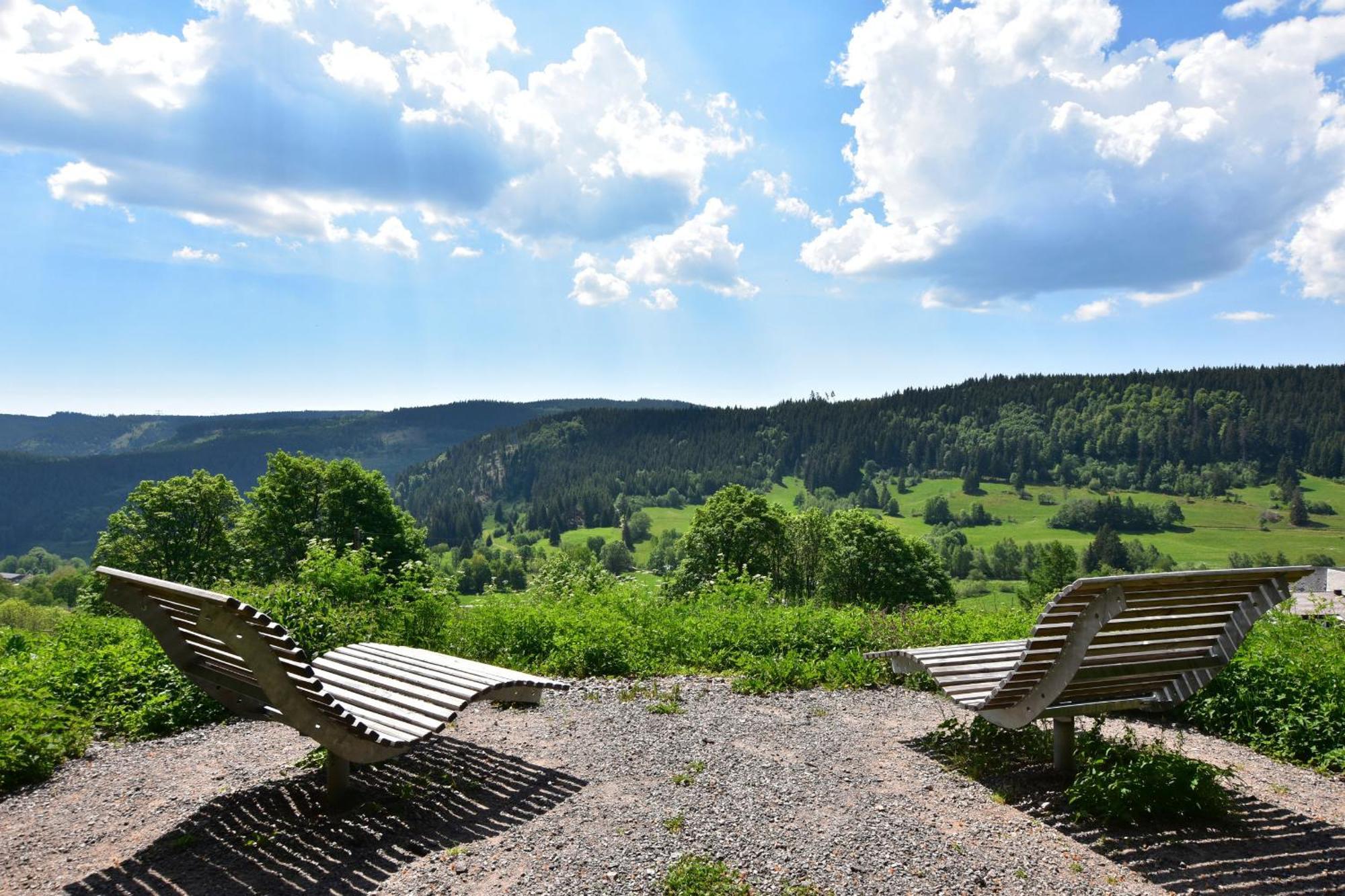Schwarzwaldhaus Krebs - Villa Kunterbunt, Lenzkirch, Feldberg المظهر الخارجي الصورة